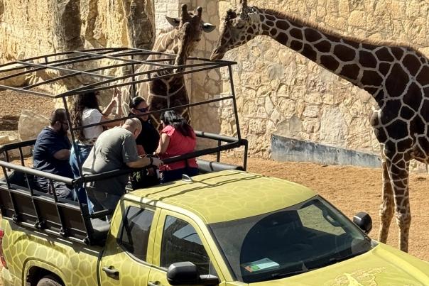 Conserfari at San Antonio Zoo